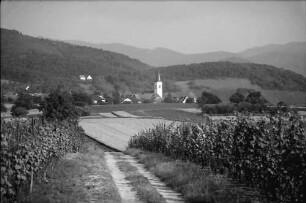 Wettelbrunn: Weinberg mit Kirchturm Ballrechten