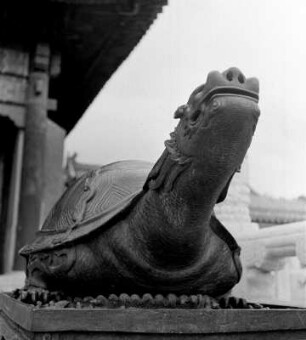 Verbotene Stadt. Skulptur einer Schildkröte : Peking (China). Verbotene Stadt. Skulptur einer Schildkröte