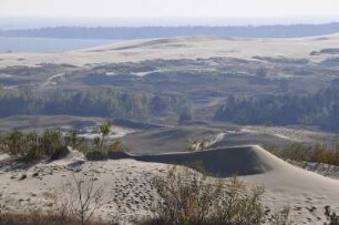 Nida (Nidden) - Naturphänomen Wanderdünen : Blick vom Aussichtspunkt auf dem 68 m hohen Parniddener Berg bei Nida (Nidden) auf die Wanderdünen. Aufgenommen am 7. Oktober 2010