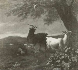 Drei Ziegen unter einem Baume