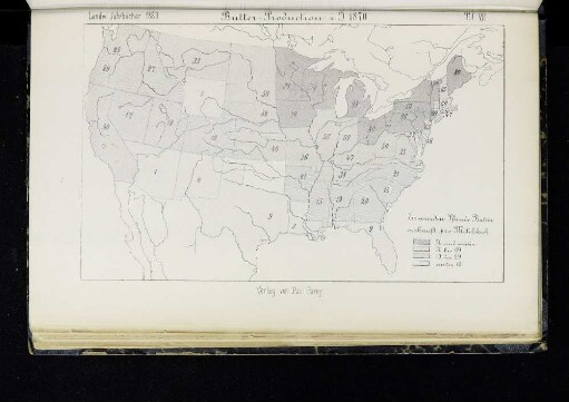Taf. VII
