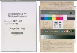 Entnazifizierung Fritz Borgmann , geb. 06.03.1904 (Elektriker)