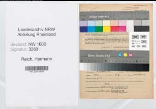 Entnazifizierung Hermann Reich, geb. 08.10.1900 (Prediger)