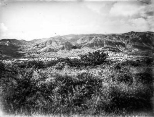strauchartige Vegetation vor Hügelkette : Blick auf die vor einer Hügelkette befindliche strauch- und buschartige Vegetation