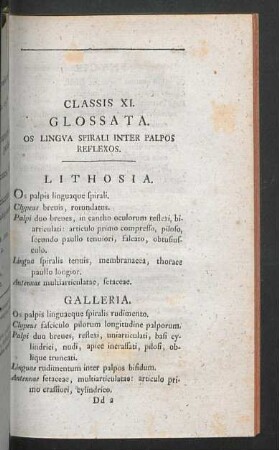 Classis XI. Glossata.
