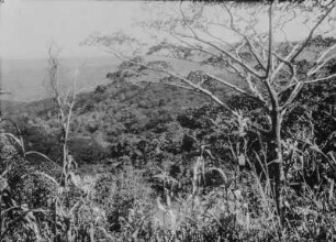 Landschaft : Blick von einem Berg in das Tal