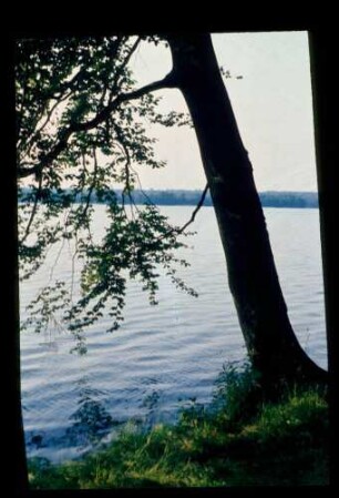 Werbellinsee 24.6.83.