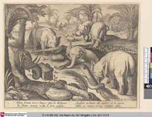 [Sechs Elefanten helfen einem in ein Loch gefallenen Efefanten; Elephants helping each other out of a trap]
