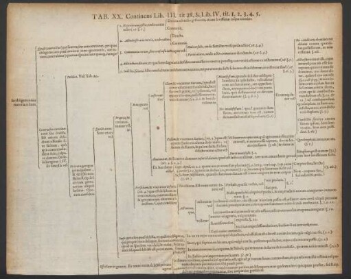Tab. XX. Continens Lib. III. tit. 28. & Lib. IV. tit. 1. 2. 3. 4. 5.