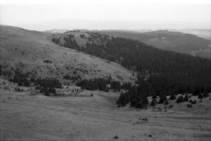 Wanderer zwischen Seebuck und Feldbergturm