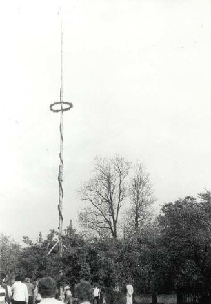 Maibaumwerfen in Spohla : Gesellschaftliche Volkskultur - Frühling. Ort: Spale / Spohla. Maibaumwerfen