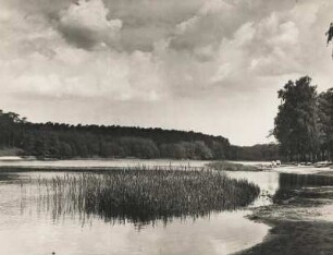 Berlin. Charlottendorf-Wlmersdorf. Grunewaldsee. Personen befinden sich am Strand