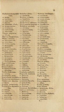 [Ulex europaeus. - Urtica dioica.]