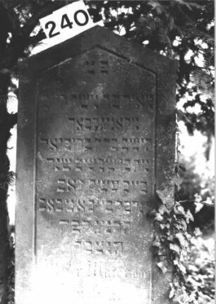 Grabstein 240 (Index: 100082198) Material: Sandstein Zustand: leicht verwittert Maße HxBxT: 118x51x12 cm Beschreibung: Stele, giebelartiger Abschluß, Schriftfeld eingetieft: Grabstein 240 (2)