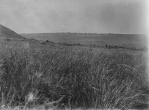 Landschaft : Die Landschaft im Barabara-Gebiet