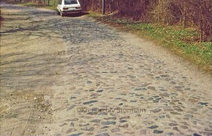 Hohenfelder Damm in der Hahnheide