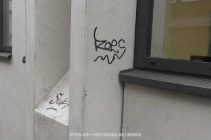 RoeS