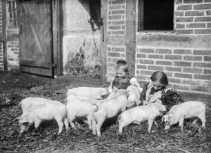 Kinder mit Ferkelgruppe
