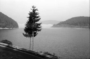 Nebel über dem Schluchsee bei Seebrugg
