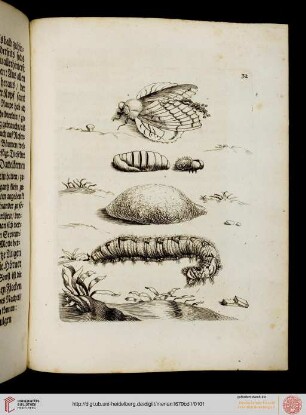 Tafeln und Text 31-40