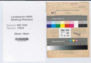 Entnazifizierung Albert Meyer, geb. 11.05.1910 (Postrat)