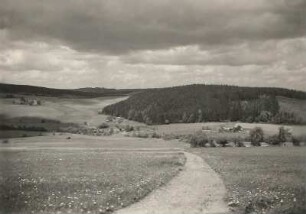 Altenberg-Hirschsprung. Feldweg gegen Gehöfte im Tal der Hinteren Biela, aus der Nähe des Geisingberges gesehen
