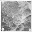 Aufnahme 029
