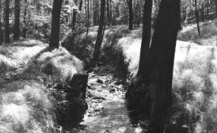 Triebischtal-Munzig. Bergbau, im Diebesgrund