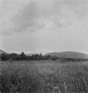 Ruaha Nationalpark : Blick über eine Ebene zu einem Berg im Ruaha Nationalpark