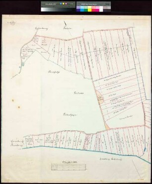 Karte von den Wiesen und der Grundhütung der Bauerngemeinde zu Pausin (2 Teile)