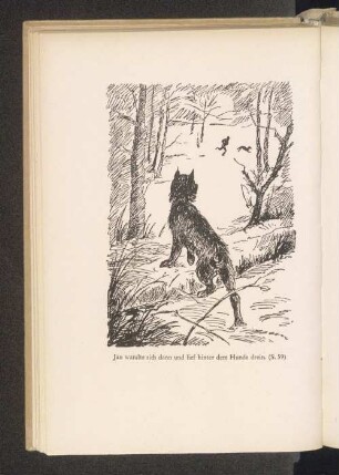 Jan wandte sich dann und lief hinter dem Hunde drein.