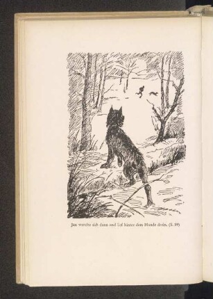 Jan wandte sich dann und lief hinter dem Hunde drein.