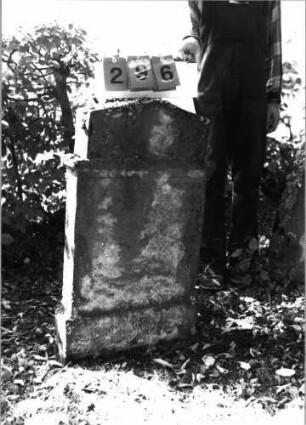 Grabstein 296 (Index: 99795756) Zustand: 1990 bereits völliger Textverlust Maße HxBxT: 90x55x10 cm Besonderheit: kulturhistorisch wertvoll / hist.-wiss. Gründe (Gemeindestellung): Grabstein 296