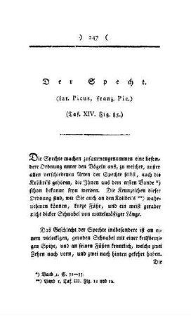 ¬Der¬ Specht : (lat. Picus, franz. Pic.) ; Taf. XIV, Fig. 85
