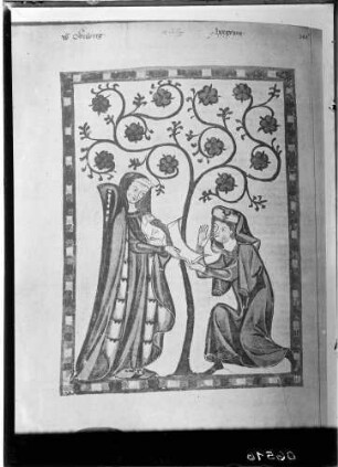 Heidelberg Manesse Handschrift Zeichnung