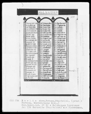 Lektionar aus Salzburg — Capitulare, Folio 319verso