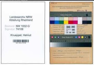 Entnazifizierung Helmut Knueppel, geb. 06.09.1910 (Betriebsleiter)