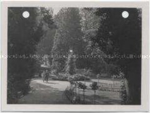 Misdroy, Park