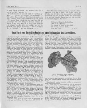 Neue Funde von Amphibien-Resten aus dem Rotliegenden des Saargebietes.