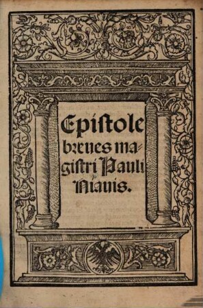 Epistolae breves magistri Pauli Niavis