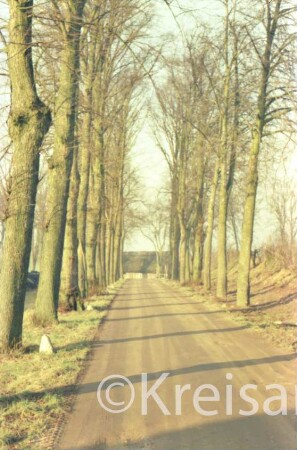 Altfresenburg: Gut: Allee