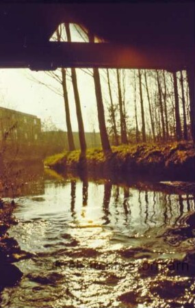 Kurpark: Beste