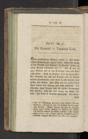Taf. XIV. Fig. 96. Die Tarantul. - Tarantula Linn.