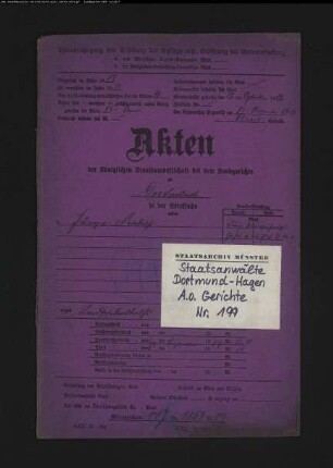 Landfriedensbruch (Plünderungen in Dortmund am 02.07.1919) Junge, Friedrich