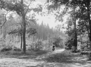 Maientag im Wald in der Harth bei Zwenkau. Eine Frau trägt einen gefüllten Weidenkorb