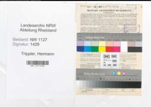 Entnazifizierung Hermann Trippler , geb. 12.04.1900 (Weichenwaerter)