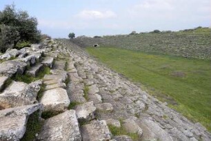 Stadion