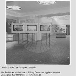 Nationale Hygiene-Ausstellung - Raum 8 - Dioramen