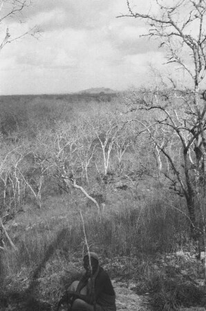 Tendaguru-Hügel vom Lipogiri-Plateau aus : Blick in eine Savannenlandschaft mit einem Hügel und einem Mann im Vordergrund