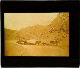 Transport auf der Passhöhe